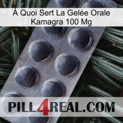 À Quoi Sert La Gelée Orale Kamagra 100 Mg 30